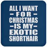 All I Want For Christmas Is My Exotic Shorthair - Coaster