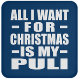 All I Want For Christmas Is My Puli - Coaster