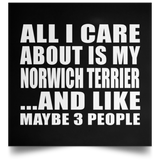 All I Care About Is My Norwich Terrier - Poster Square