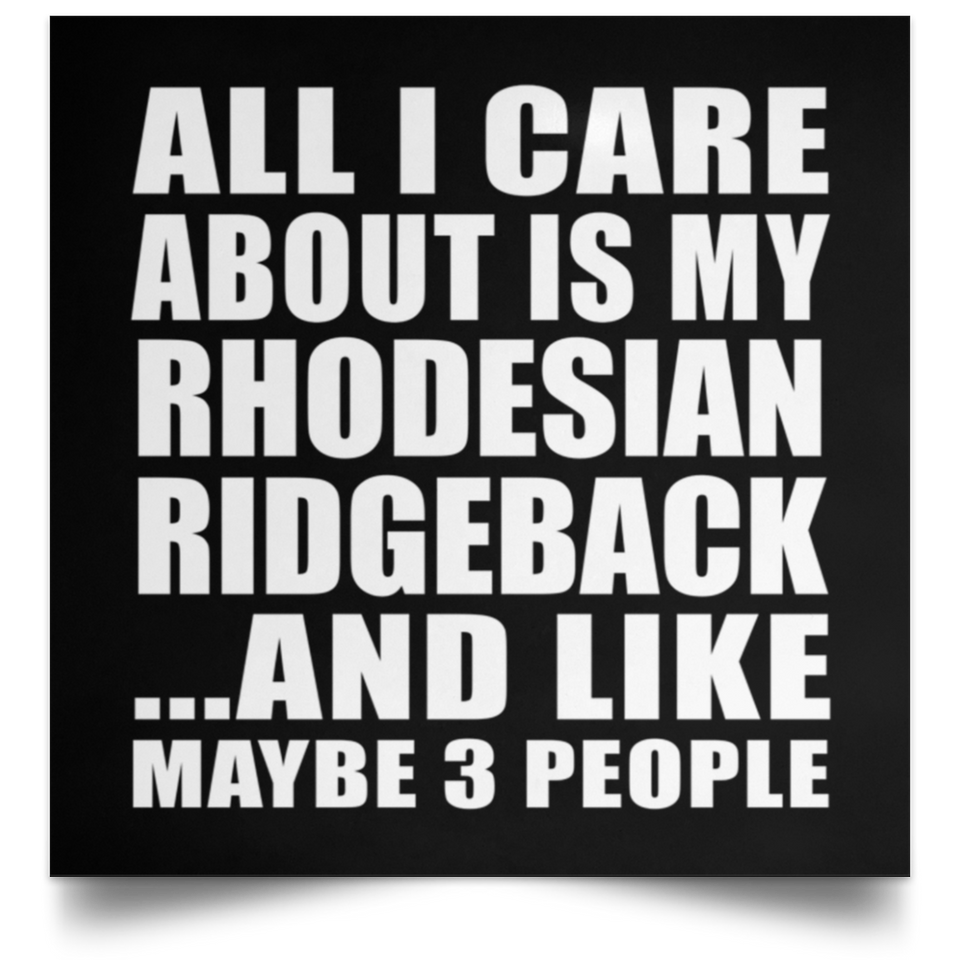 All I Care About Is My Rhodesian Ridgeback - Poster Square