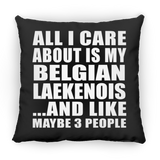 All I Care About Is My Belgian Laekenois - Throw Pillow Black
