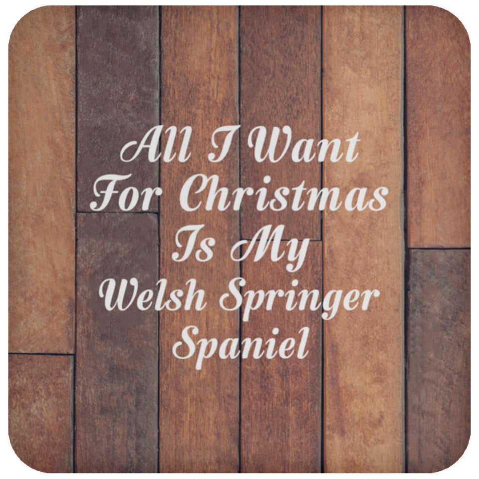 All I Want For Christmas Is My Welsh Springer Spaniel - Drink Coaster E