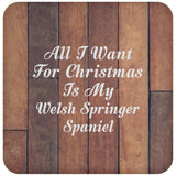 All I Want For Christmas Is My Welsh Springer Spaniel - Drink Coaster E