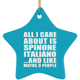 All I Care About Is Spinone Italiano - Star Ornament