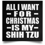 All I Want For Christmas Is My Shih Tzu - Poster Square