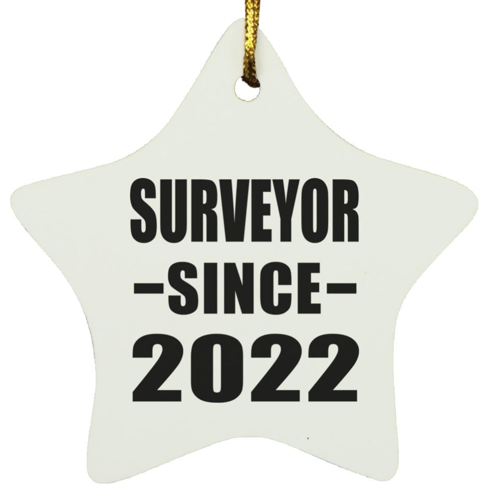 Surveyor Since 2022 - Star Ornament