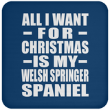 All I Want For Christmas Is My Welsh Springer Spaniel - Coaster