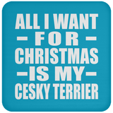 All I Want For Christmas Is My Cesky Terrier - Coaster