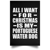 All I Want For Christmas Is My Portuguese Water Dog - Poster Portrait