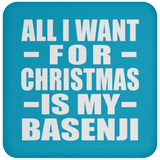 All I Want For Christmas Is My Basenji - Coaster