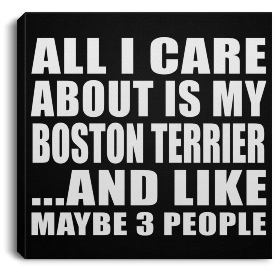 All I Care About Is My Boston Terrier - Canvas Square
