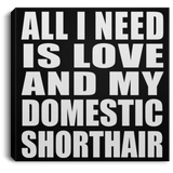 All I Need Is Love And My Domestic Shorthair - Canvas Square
