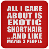 All I Care About Is Exotic Shorthair - Drink Coaster