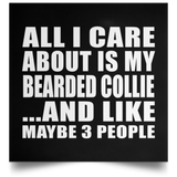 All I Care About Is My Bearded Collie - Poster Square