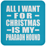 All I Want For Christmas Is My Pharaoh Hound - Coaster