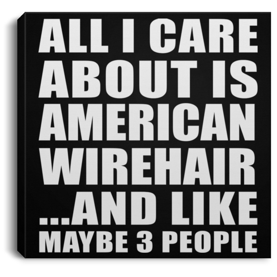 All I Care About Is American Wirehair - Canvas Square