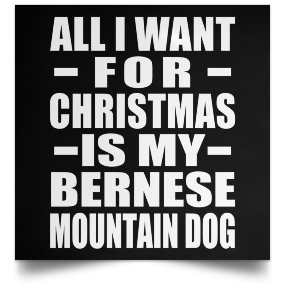 All I Want For Christmas Is My Bernese Mountain Dog - Poster Square