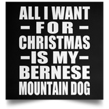 All I Want For Christmas Is My Bernese Mountain Dog - Poster Square