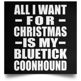 All I Want For Christmas Is My Bluetick Coonhound - Poster Square