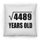 67th Birthday Square Root of 4489 Years Old - Throw Pillow
