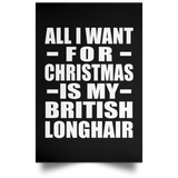 All I Want For Christmas Is My British Longhair - Poster Portrait