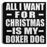 All I Want For Christmas Is My Boxer Dog - Canvas Square