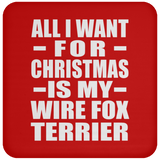 All I Want For Christmas Is My Wire Fox Terrier - Coaster