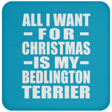All I Want For Christmas Is My Bedlington Terrier - Coaster