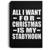 All I Want For Christmas Is My Stabyhoun - Canvas Portrait