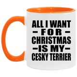 All I Want For Christmas Is My Cesky Terrier - 11oz Accent Mug Orange