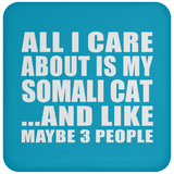 All I Care About Is My Somali Cat - Drink Coaster