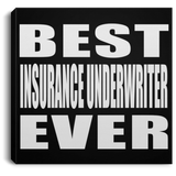 Best Insurance Underwriter Ever - Canvas Square