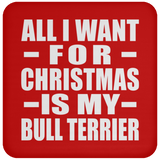 All I Want For Christmas Is My Bull Terrier - Coaster