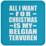 All I Want For Christmas Is My Belgian Tervuren - Coaster