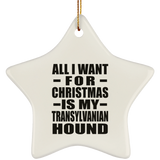 All I Want For Christmas Is My Transylvanian Hound - Star Ornament