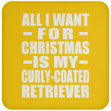 All I Want For Christmas Is My Curly-Coated Retriever - Coaster