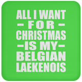 All I Want For Christmas Is My Belgian Laekenois - Coaster