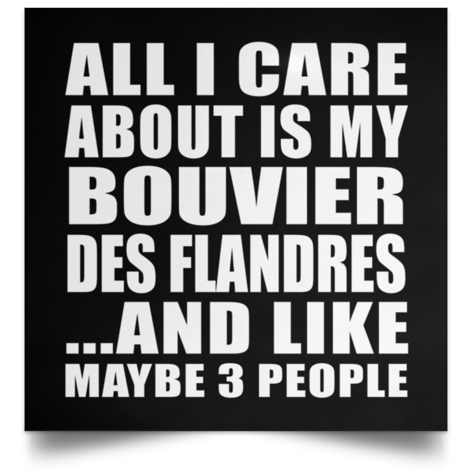 All I Care About Is My Bouvier Des Flandres - Poster Square