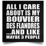 All I Care About Is My Bouvier Des Flandres - Poster Square