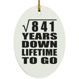 29th Anniversary Square Root of 841 Years Lifetime To Go - Oval Ornament