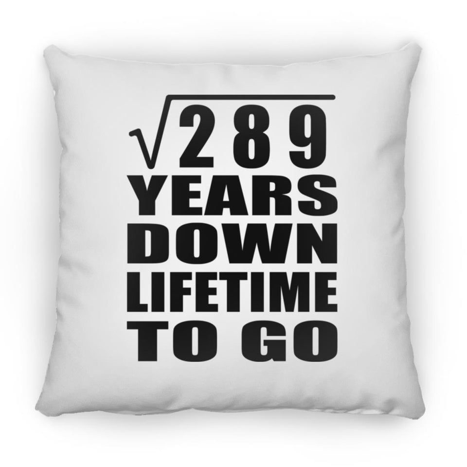 17th Anniversary Square Root of 289 Years Lifetime To Go - Throw Pillow