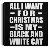 All I Want For Christmas Is My Black And White Cat - Canvas Square