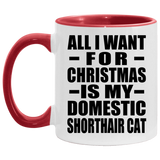 All I Want For Christmas Is My Domestic Shorthair Cat - 11oz Accent Mug Red