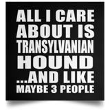 All I Care About Is Transylvanian Hound - Poster Square