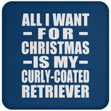 All I Want For Christmas Is My Curly-Coated Retriever - Coaster