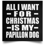All I Want For Christmas Is My Papillon Dog - Poster Square