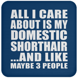 All I Care About Is My Domestic Shorthair - Drink Coaster