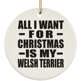 All I Want For Christmas Is My Welsh Terrier - Circle Ornament