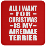 All I Want For Christmas Is My Airedale Terrier - Coaster
