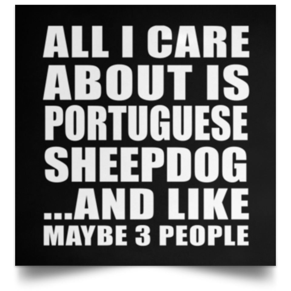 All I Care About Is Portuguese Sheepdog - Poster Square